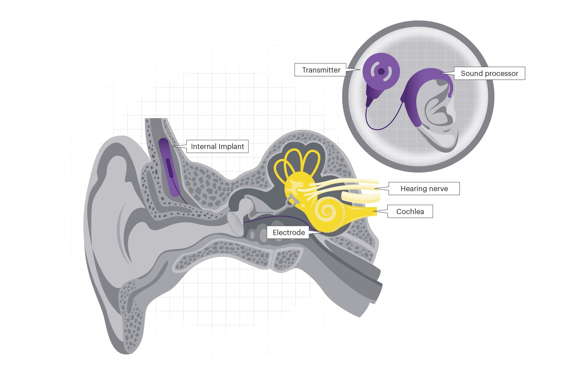 Neurotechnology graphic design